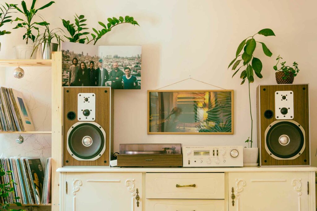 Turntables and house plants work well together