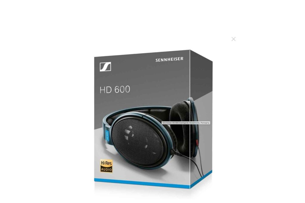 Sennheiser HD 600 Open-back Audiophile/Professional Headphones and