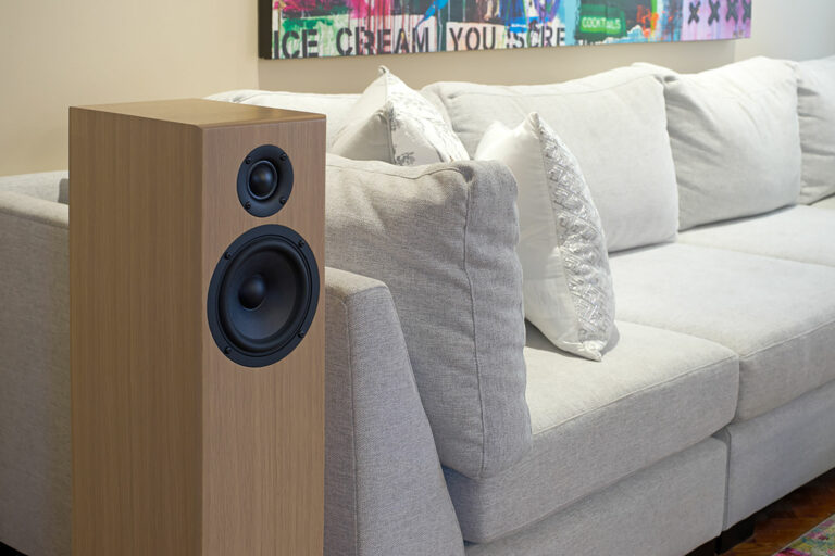 Totem's Bison Floorstanding speaker installed in an artful audiophile listening room.