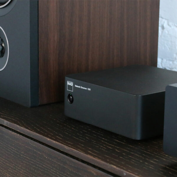 The NAD CS-1 is a very capable, audiophile grade endpoint that connects to your network and system