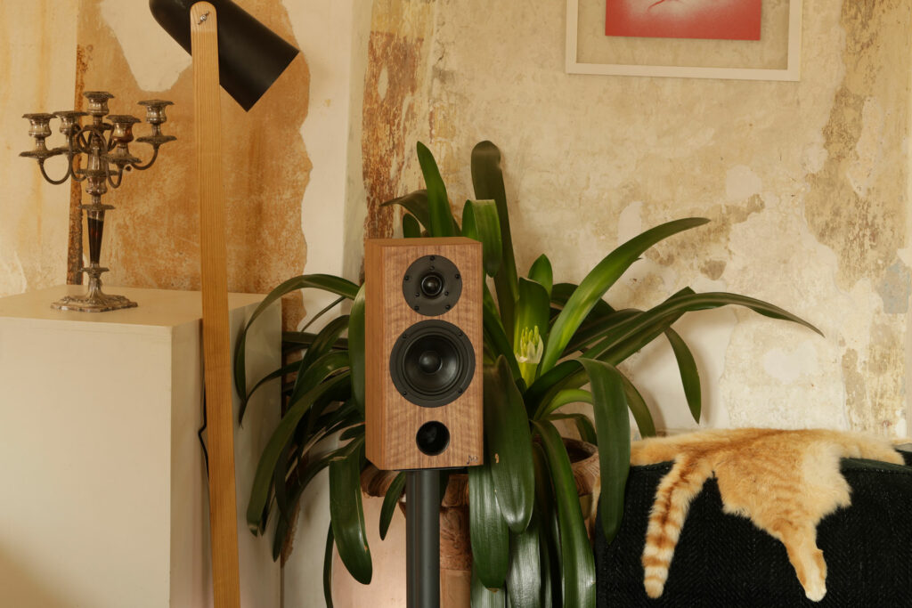 Acoustique Quality Labrador 39 speakers installed in an audiophile listening room.