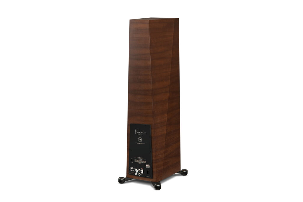 A look at the rear and binding posts of the Paradigm Founder 120H speakers