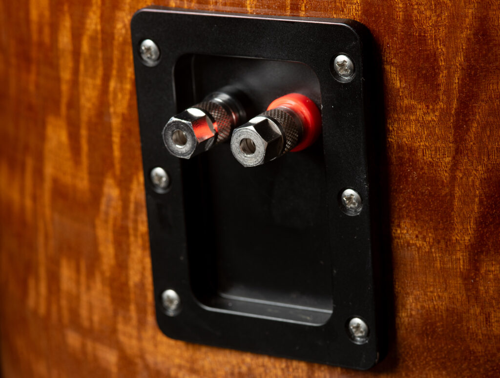 Take a look at the binding  posts on the MC Audiotech TL-12s.