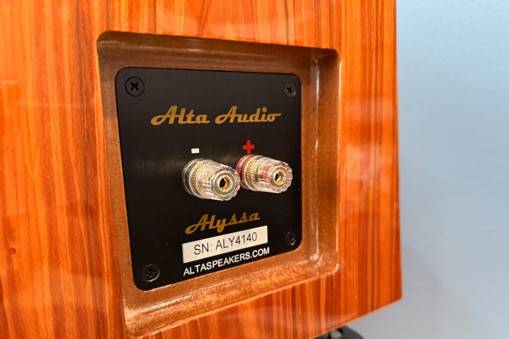 The binding posts are really high quality on the Alta Audio Alyssa speakers.