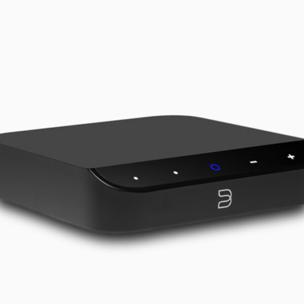 If you are not storing your music and don't need a big LED screen - the BlueSound Nano is a powerful and affordable audiophile streaming option.