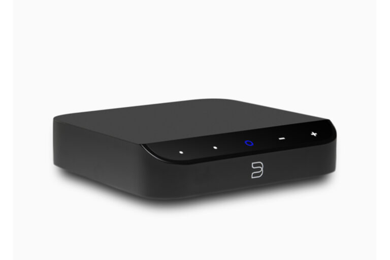If you are not storing your music and don't need a big LED screen - the BlueSound Nano is a powerful and affordable audiophile streaming option.