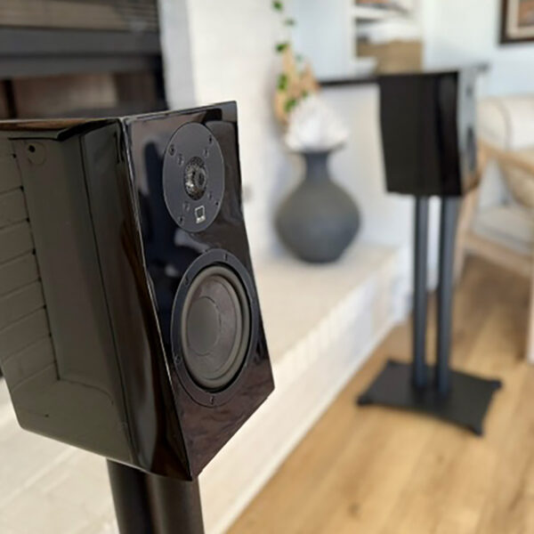 A pair of the SVS Ultra Evolution looking artsy in a pair.