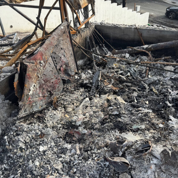FutureAudiophile.com's publisher's last home post the Palisades Fire.
