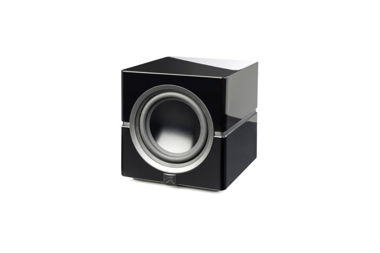The MartinLogan Dynamo 10 is small but stylish