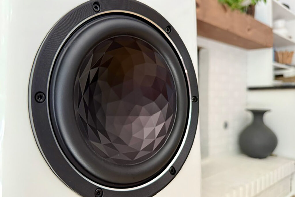 A closeup of the midrange driver with its textured surface.