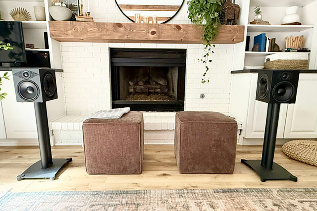 The Chesky Audio LC1 speakers at just under $1,000 a pair make remarkably good bass.