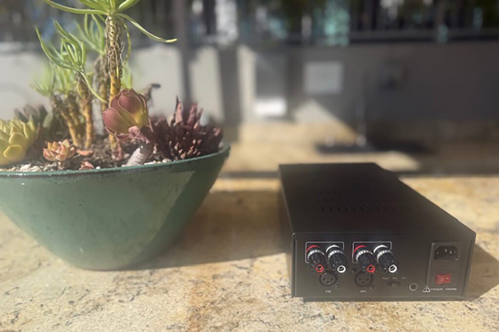 A look at the input and output options on the Buckeye Hypex amp.