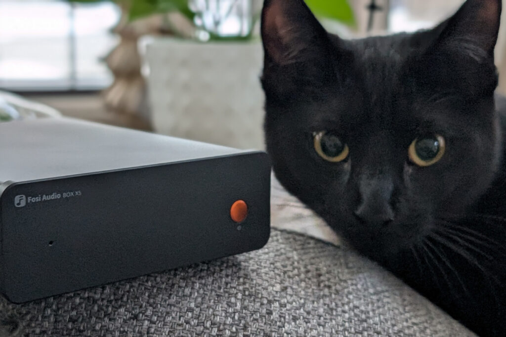 Michael's cat is not really bad luck, he tells us.