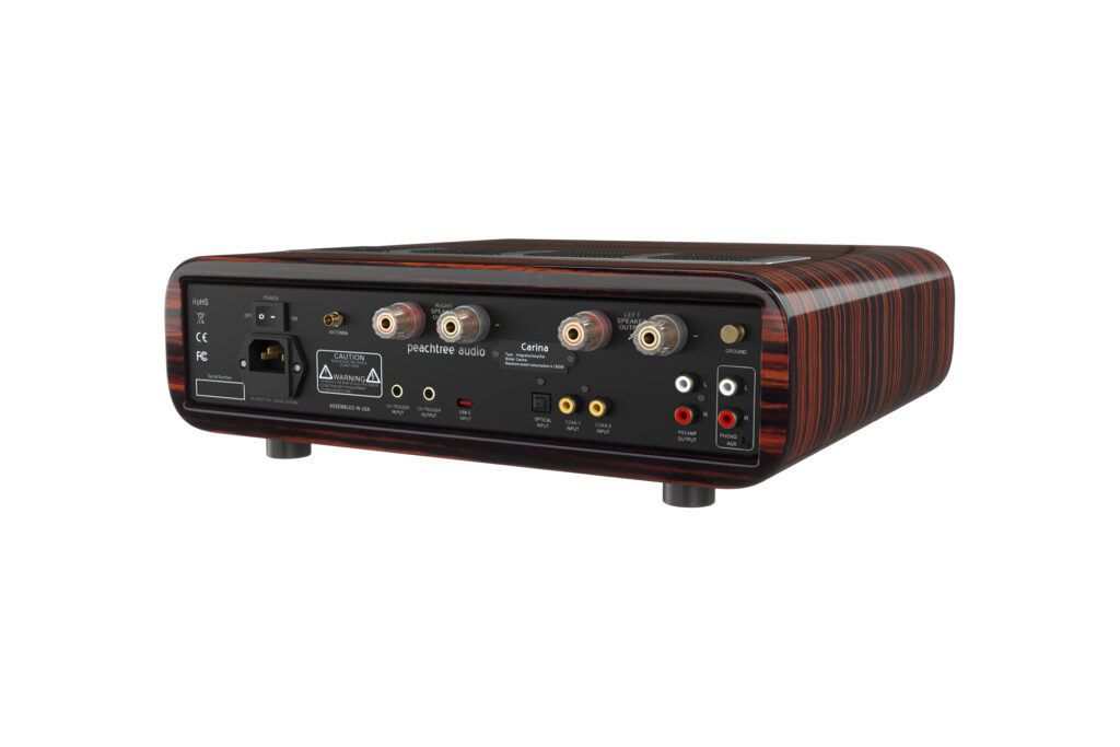 A look at the inputs and outputs of the Peachtree Audio Carina X integrated amp.