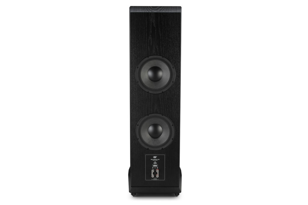 A look at the rear of the MOFI SourcePoint V10 Master Edition Loudspeaker.