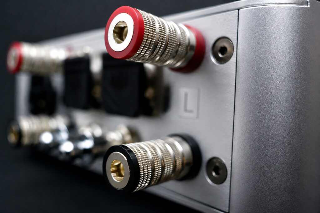 A look at the rear of the ArgentPur IBIS GaN amp.